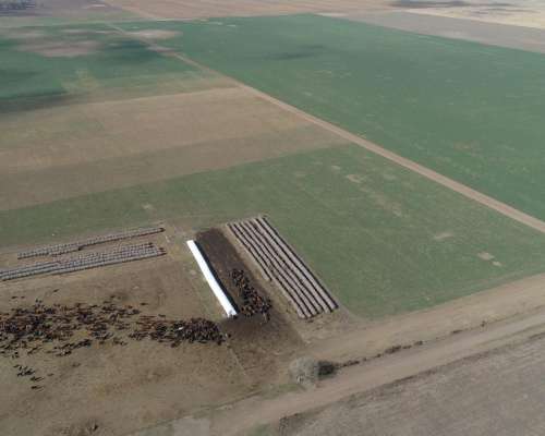 2.198 Has en Venta, Jovita - Córdoba