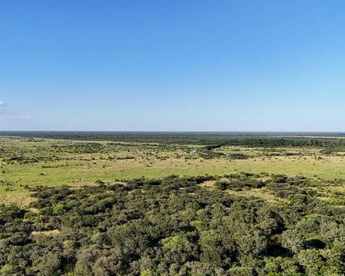 525 Hectáreas Ganaderas, Tartagal, Santa FE