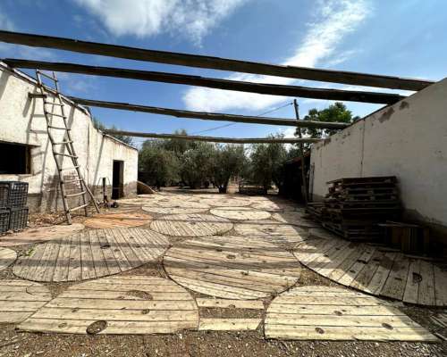 Finca en Venta 18.5has de Olivos, 3 de Mayo, Lavalle