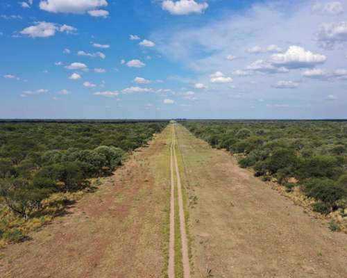 Pcia. de San Luis - Unión 9965 Has