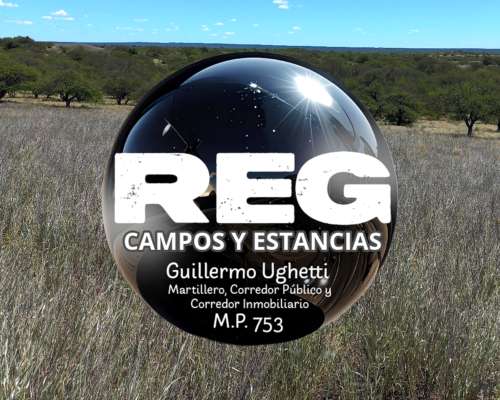 6000 Hectáreas en Victorica LP