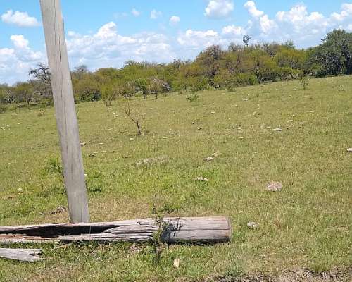 162.40 Ha de Campo Mixto