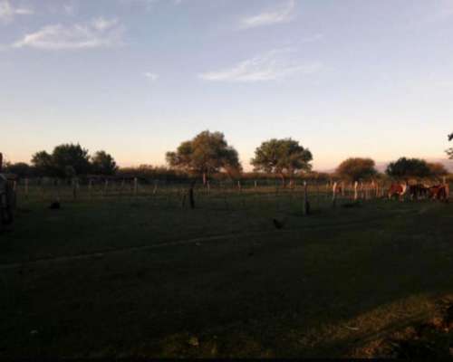 Vendo Campo en San Luis