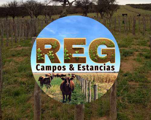 1100 Hectareas en Carro Quemado/el Tropezón