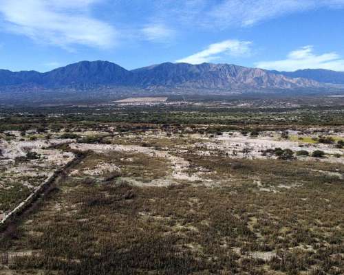 Campo de 77 Has en Venta Junto a Estancias