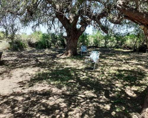 Vendo Campo de 22 Has. Cerca de San Fco. del Monte de ORO