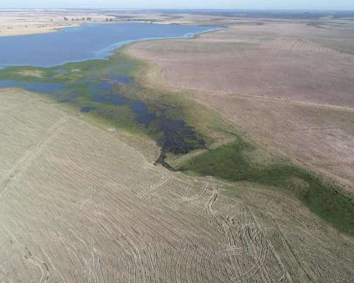 Mercedes, Corrientes - 4.050 Ha