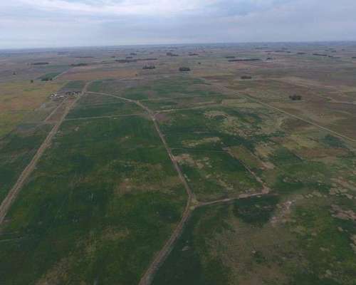 Campo Sobre Ruta en Saladillo