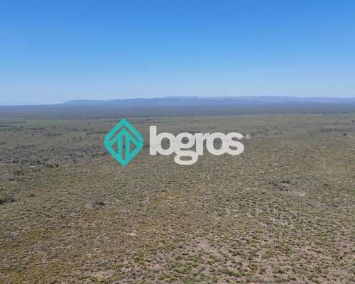 Campo en el Tunal, Salta