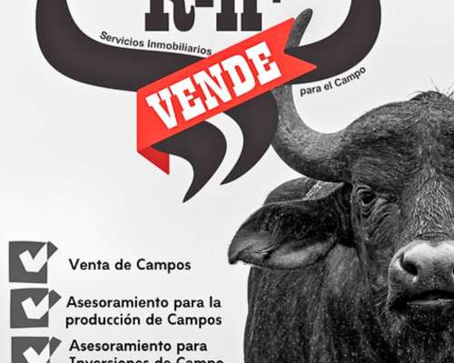 Zona Villa de Soto Campo Ganadero