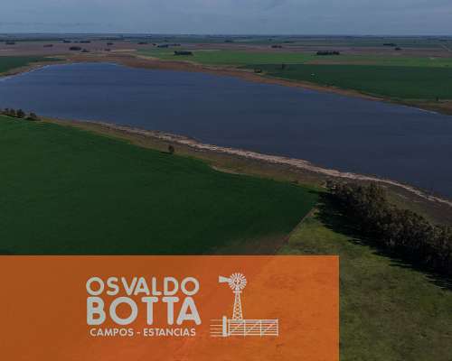 Campo Agricola en Venta, 600 Has Coronel Dorrego, BS AS