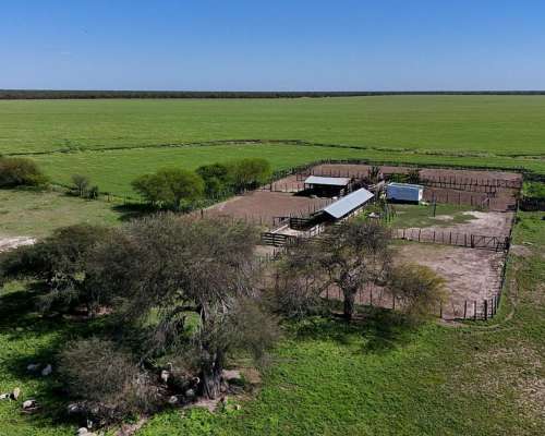 La Sarita, General Obligado, Santa FE - 11.209 Ha