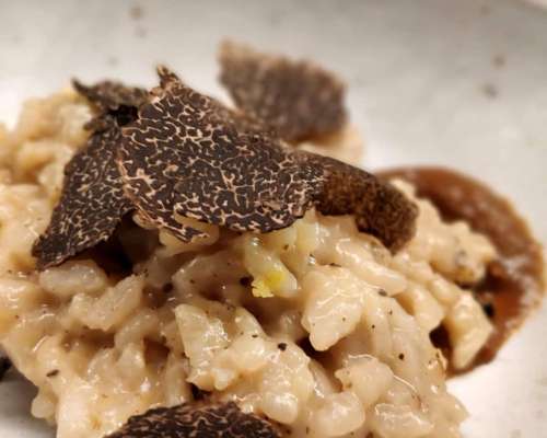 Trufa Negra - Venta de Plantines Micorrizados - Sustratos