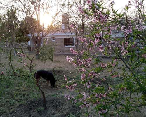 Media Naranja - Cruz del Eje - Córdoba
