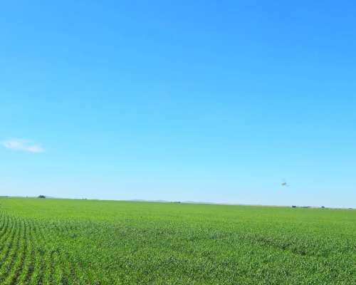 900 Ha Cabildo, Buenos Aires