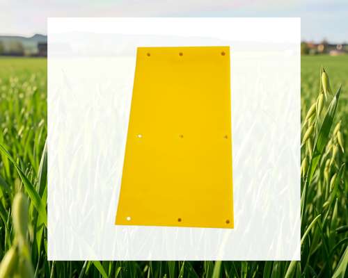 Patin Lateral Derecho (uhmw) H-170501