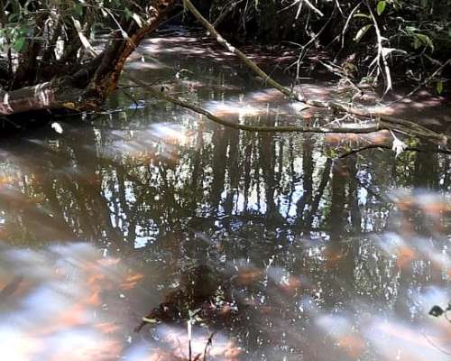 Chacra 20 Has en Venta