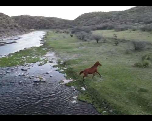 Saladillo 108 Has S/ Asfalto