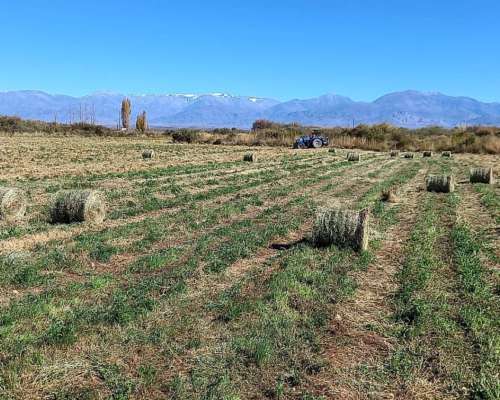Mini Rotoenfardadoras Tecnoforraje, Garantía, Repuestos