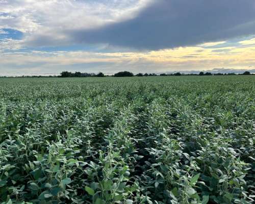 Establecimiento Mixto Centro de Entre Rios