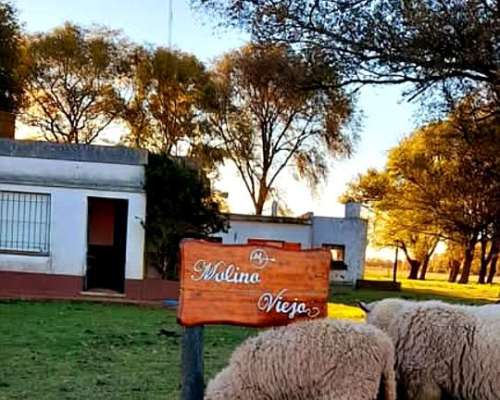 Chacra 2 Ha con 3 Casas