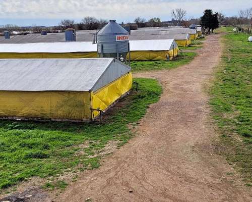 Granja en Venta Sobre la Ruta