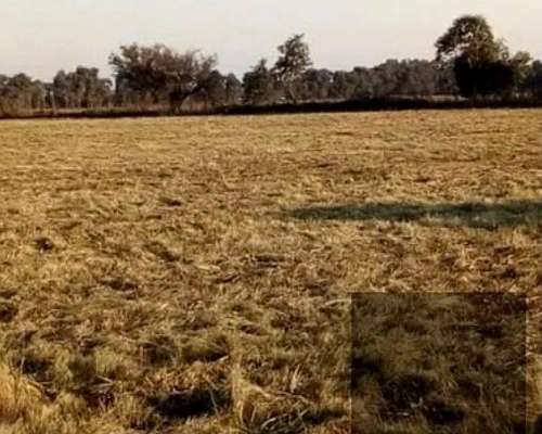 Lote Terreno 62x100m Cerca AV. y Negocio Chino ETC Dueño DIR