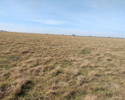 Alcorta Mixto 487 Has