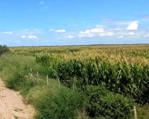 Campo C/acuifero, Pegado a la Ciudad Termas de Rio Hondo