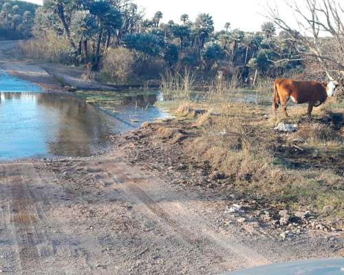 Campo de 62 Ha con Río Propio, Escritura. Caminiaga, Córdoba