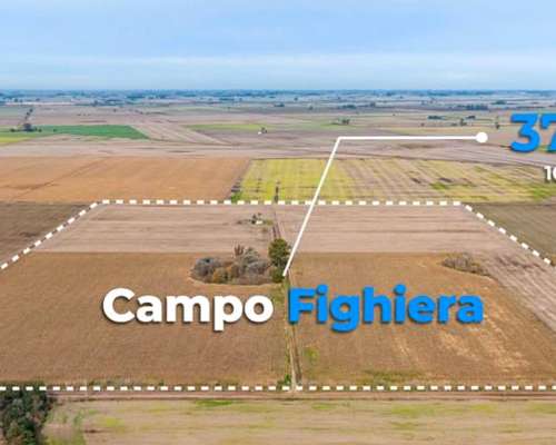 37,5 Hectareas Fighiera Proximo a Autopista