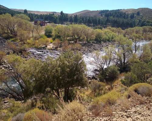 Campo de Invernada en Esquel, Precordillera