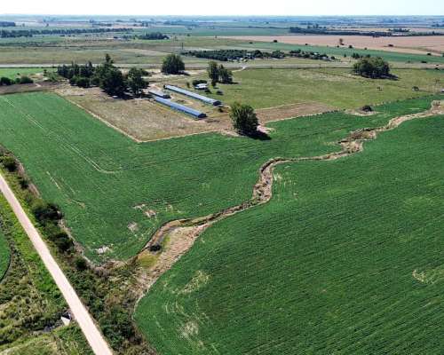 Vendo Campo 24 Has en Ruta 14 Concepción del Uruguay Entre R