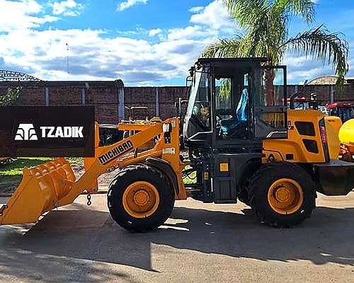 Pala Cargadora Michigan R45c IV