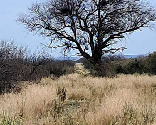 Campo 1200 Hectáreas Sobre Ruta Provincial 30