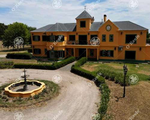 Campo en Venta 50 Has en Punta Indio. Excelente Casco.