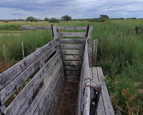 250ha. en las Saladas