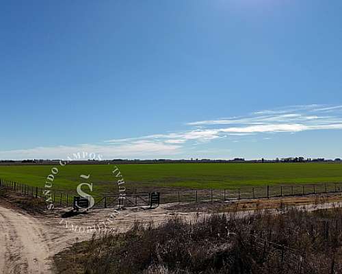 Zona Núcleo. Campo Agrícola. 40 Hectáreas.