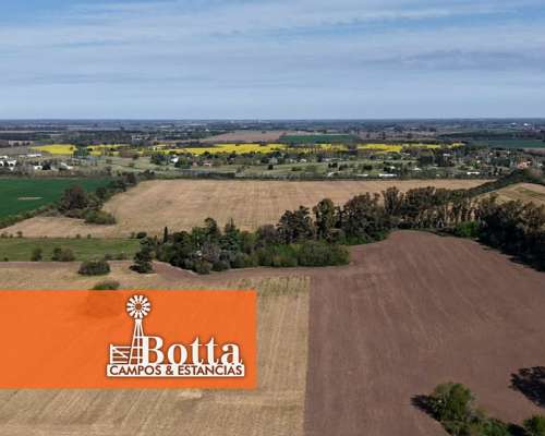 Campo Agrícola en Venta, 148 Has Carlos Keen, Buenos Aires