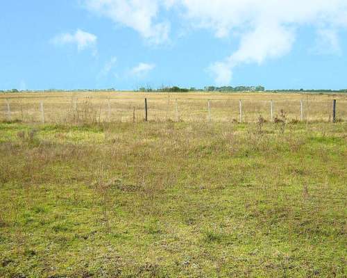 Brandsen, Buenos Aires - 284 Ha