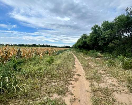 Campo en Venta – 21 Hectáreas Sobre Ruta 38 Zona Tuclame