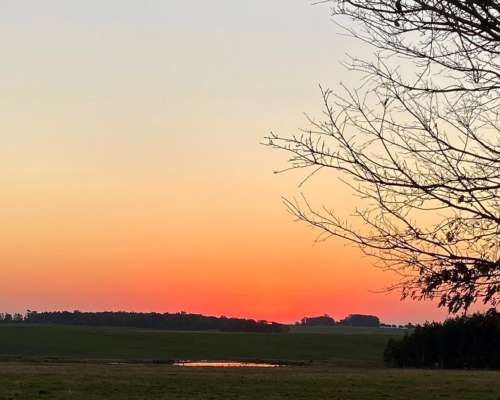 Campo Venta en Uruguay. Paysandú