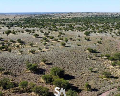Vende: Campo Ganadero de 1.650 Hectáreas. Carro Quemado