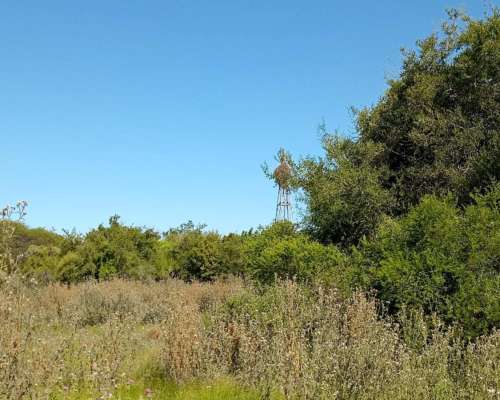 Campo Ganadero 140 HA. María Grande. Solo Interesados