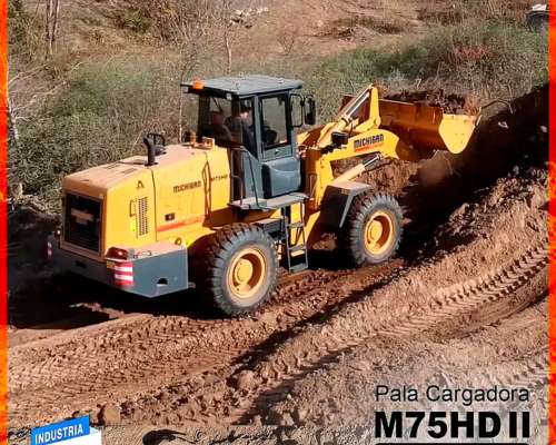Pala Cargadora Michigan M75hd