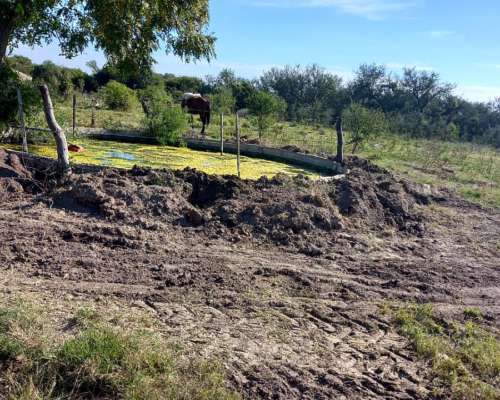 Alquiler Campo Ganadero en Providencia