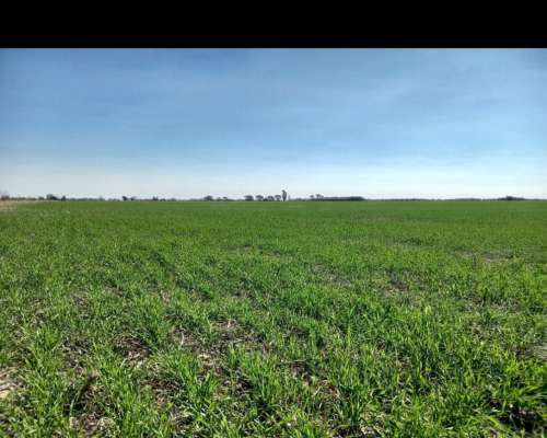 Oportunidad de Inversion. Campo Agricola