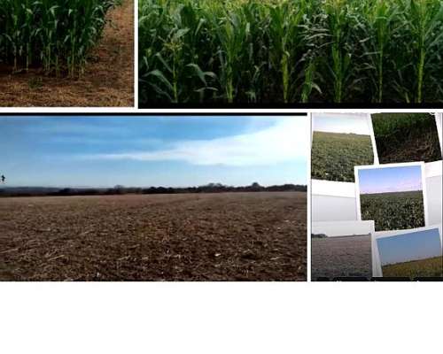 50 Has Rio Primero Córdoba