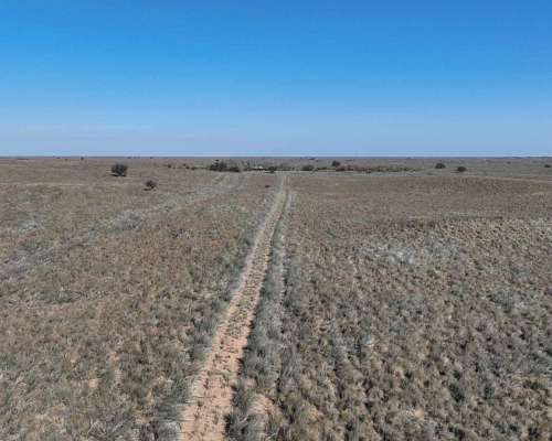 Pcia. de la Pampa - Santa Isabel 20000 Ha