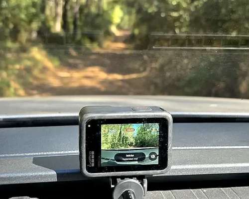 Campo Ganadero Forestal. 215 Ha con 120 Ha de Pino 15 Años